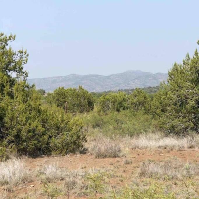 Cottonwood Creek Cabins - Alpine, Tx Extérieur photo