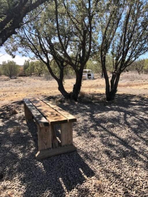Cottonwood Creek Cabins - Alpine, Tx Extérieur photo