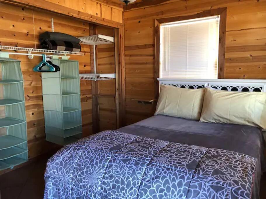 Cottonwood Creek Cabins - Alpine, Tx Extérieur photo